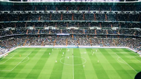 韩鹏转正之谜：山东泰山新赛季战略布局即将揭晓