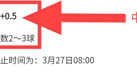 Ag亚游真人体育 资讯 231751 c8a